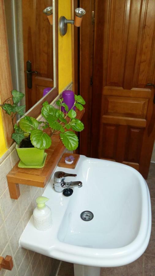 Casa Rural Calle Real Bed and Breakfast Torremocha de Ayllón Eksteriør billede